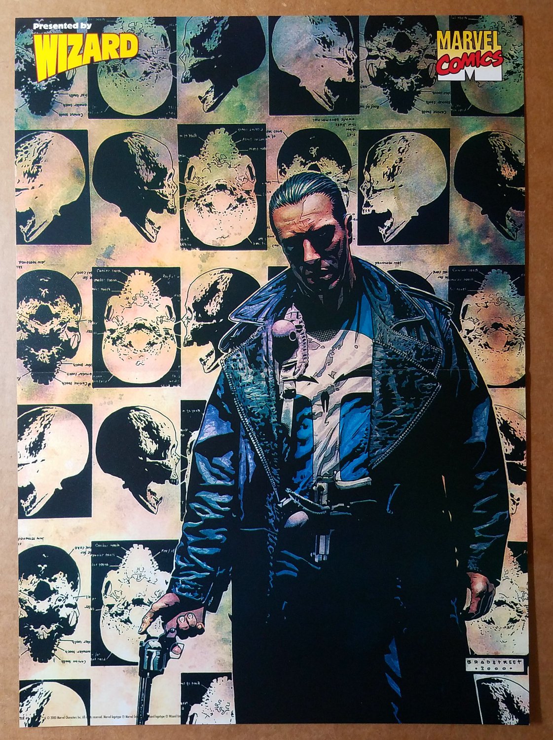 Punisher Skulls Marvel Comics Poster by Tim Bradstreet
