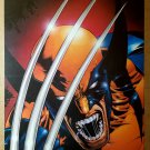 Wolverine Marvel Comic Poster by Leinil Francis Yu