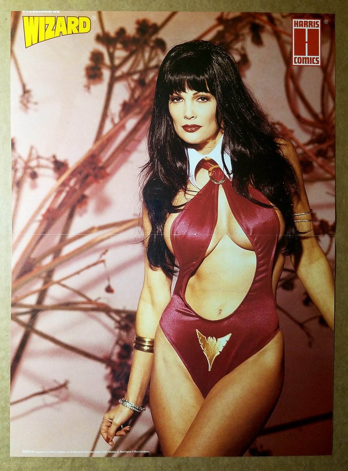 Vampirella Photo Harris Comics Poster