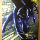 Black Panther Marvel Comics Poster by Mark Texeira