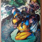 Wolverine Kazar Marvel Comics Poster by Andy Kubert