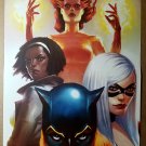 Marvel Divas Hellcat Photon FireStar Black Cat Poster by Jelena Kevic Djurdevic Marvel Divas Hellcat Photon FireStar Black Cat Poster by Jelena Kevic Djurdevic