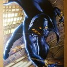Black Panther Avengers Wakanda Marvel Comics Poster by Mark Texeira