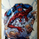 Amazing Spider-Man 30 Marvel Comics Poster by J Scott Campbell Amazing Spider-Man 30 Marvel Comics Poster by J Scott Campbell