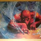 Amazing Spider-Man Web Tunnel Marvel Comics Poster by Vince Evans