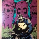 The Punisher Marvel Comics Poster by Jim Lee