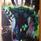 Incredible Hulk 88 Planet Hulk Prelude Marvel Comics Poster by Brandon Peterson Incredible Hulk 88 Planet Hulk Prelude Marvel Comics Poster by Brandon Peterson