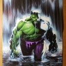 Incredible Hulk Waterfall Marvel Comics Poster by Lee Weeks Incredible Hulk Waterfall Marvel Comics Poster by Lee Weeks