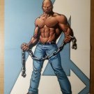 Luke Cage Hero for Hire Avenger Marvel Comics Poster by Stuart Immonen