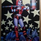 Harley Quinn 1 DC Comics Poster by Amanda Conner Paul Mounts