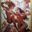 Wonder Woman Cheetah Superman Batman Flash DC Comics Poster by Alex Garner Wonder Woman Cheetah Superman Batman Flash DC Comics Poster by Alex Garner