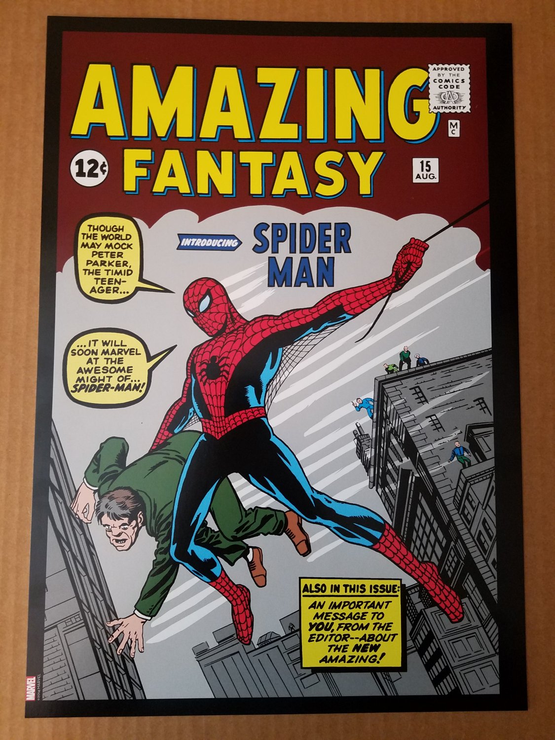 Amazing Fantasy 15 Spider-Man Marvel Comics Poster by Steve Ditko