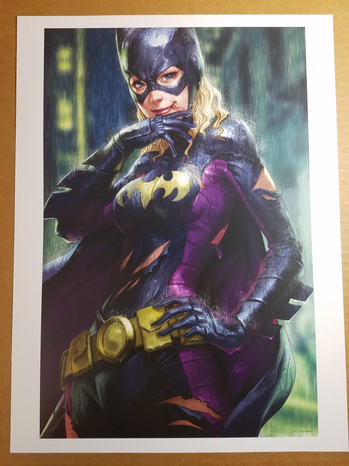Batgirl 12 Art Print DC Comic Poster by Stanley Artgerm Lau
