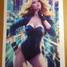 Black Canary Art Print DC Comic Poster by Stanley Artgerm Lau