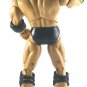 Elite ECW WCW WWE Mike Awesome figure