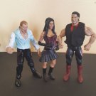 Jakks WWE Kevin Thorn, Ariel, & Zack Ryder Action Figures loose