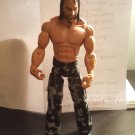 WWE Tna impact Matt Hardy 2010