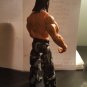 WWE Tna impact Matt Hardy 2010