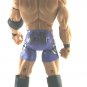TNA DELUXE IMPACT SERIES SUPERSTAR DESMOND WOLFE WRESTLING FIGURE JAKKS PACIFIC