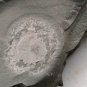 #Cambrian fossil Trilobite Malungia laevigata ,very cool #k05