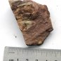 #Ordovician fossil trilobite unknown , teaching,very cool #k23