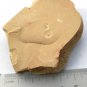 #Cambrian fossil Sicyophorus rara, professional teaching #k50