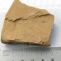 #Cambrian fossil unknown , professional teaching #k55