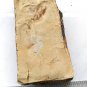 #Cambrian fossil unknown , professional teaching #k62