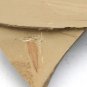 #Cambrian fossil sponge, professional teaching,cool #z89