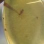 #5 pieces of Burmese amber, professional teaching #z91