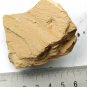 #Cambrian fossil trilobite unknown , professional teaching #w19