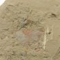#Cambrian fossil Isopyx curvirostratus , professional teaching #w35