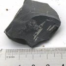 Cambrian fossil Trilobite Malungia laevigata ,very cool #w53