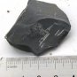 Cambrian fossil Trilobite Malungia laevigata ,very cool #w53
