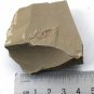 Cambrian fossil unknown , professional teaching #w65