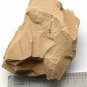 Cambrian fossil unknown , professional teaching #aa03