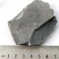 #Cambrian fossil Trilobite Malungia laevigata ,very cool #aa76