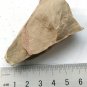 #Cambrian fossil unknown , professional teaching #bb02