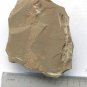 Cambrian fossil Naraoia spinosa neg, professional teaching ##a2