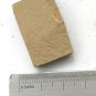 Cambrian fossil Trilobite unknown ,very cool ##a11