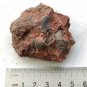 #Ordovician fossil shell, teaching,very cool ##a23