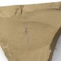 Cambrian fossil shell , professional teaching ##a40