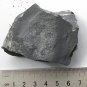 #Cambrian fossil Trilobite Malungia laevigata ,very cool ##a53
