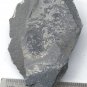 #Cambrian fossil Trilobite Malungia laevigata ,very cool ##a54