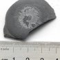#Cambrian fossil Trilobite Malungia laevigata ,very cool ##a55