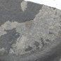 #Cambrian fossil Trilobite Malungia laevigata ,very cool ##a56