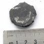 #Cambrian fossil Trilobite Malungia laevigata ,very cool ##a57