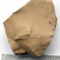 #Cambrian fossil unknown ,very cool ##a81