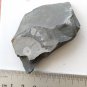 #Cambrian fossil Trilobite Malungia laevigata ,very cool ##a88