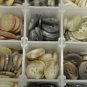 Large Lot (8 oz) Mixed Small Flat 4 Hole Swirl Shirt Buttons in Compartment Case